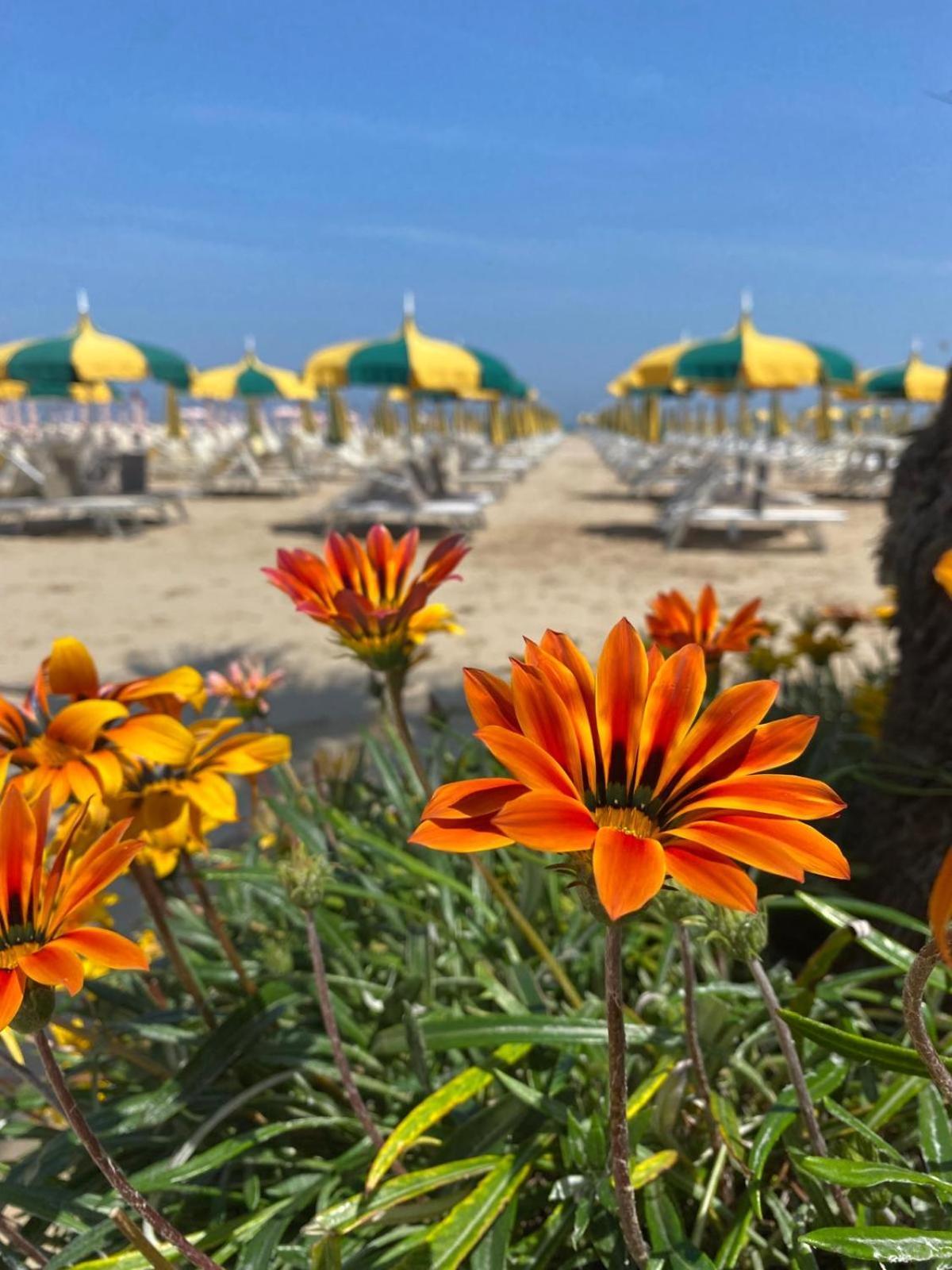 Rimini Bay Suites&Residence Экстерьер фото